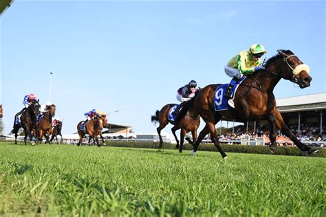 tibbie stakes|2022 Tibbie Stakes: Race History .